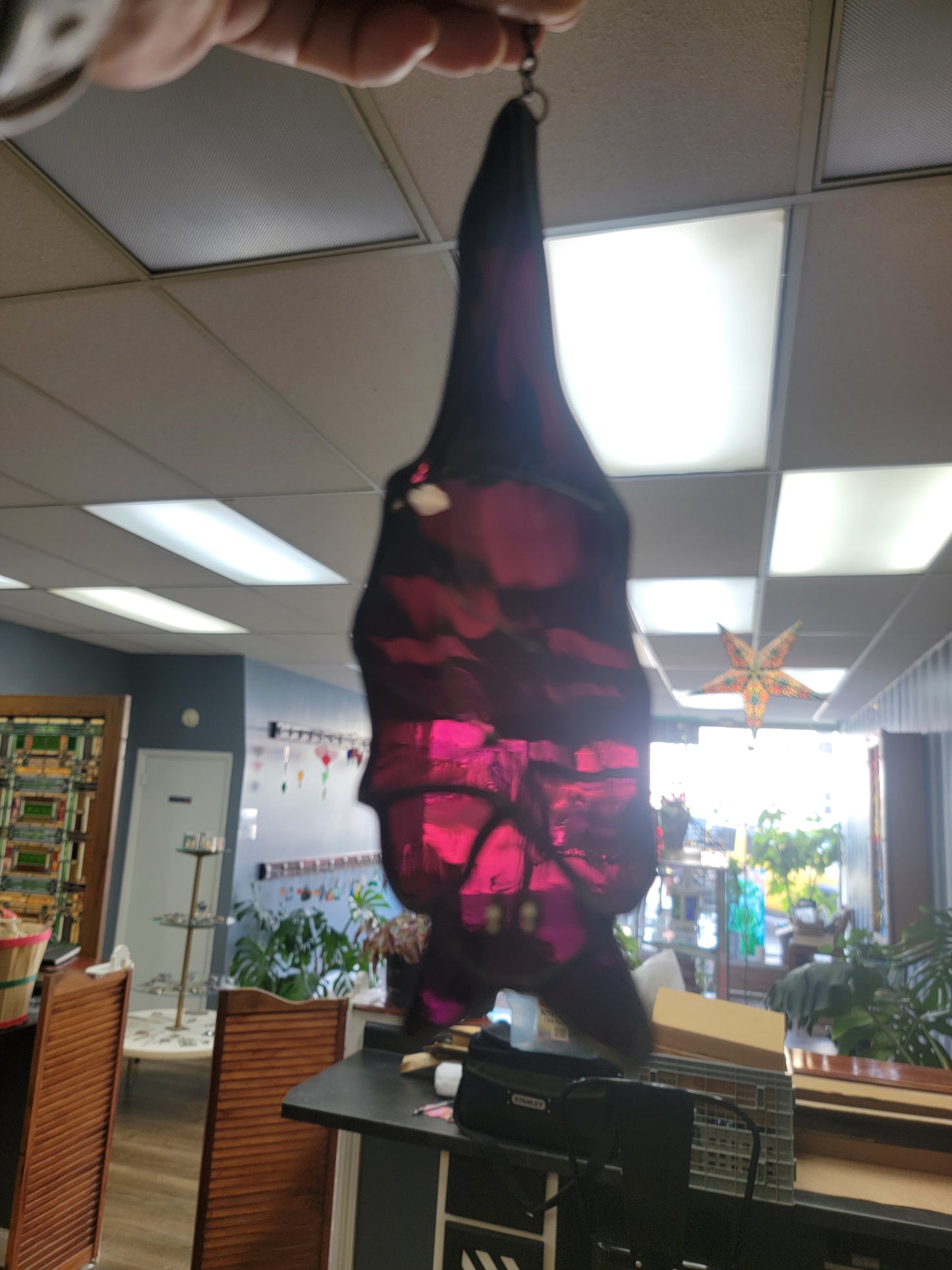Hanging Bat