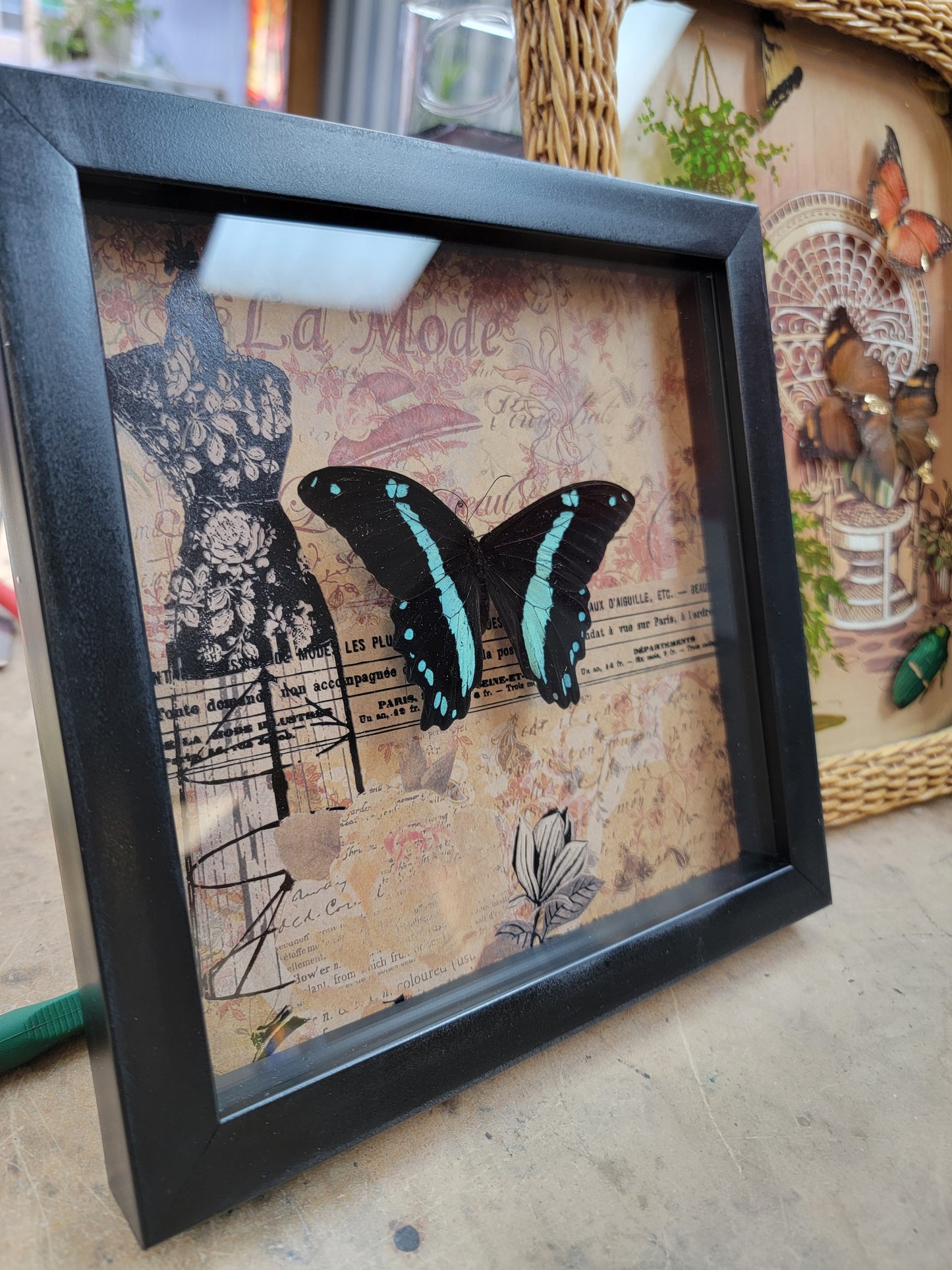Shadowbox, Butterfly