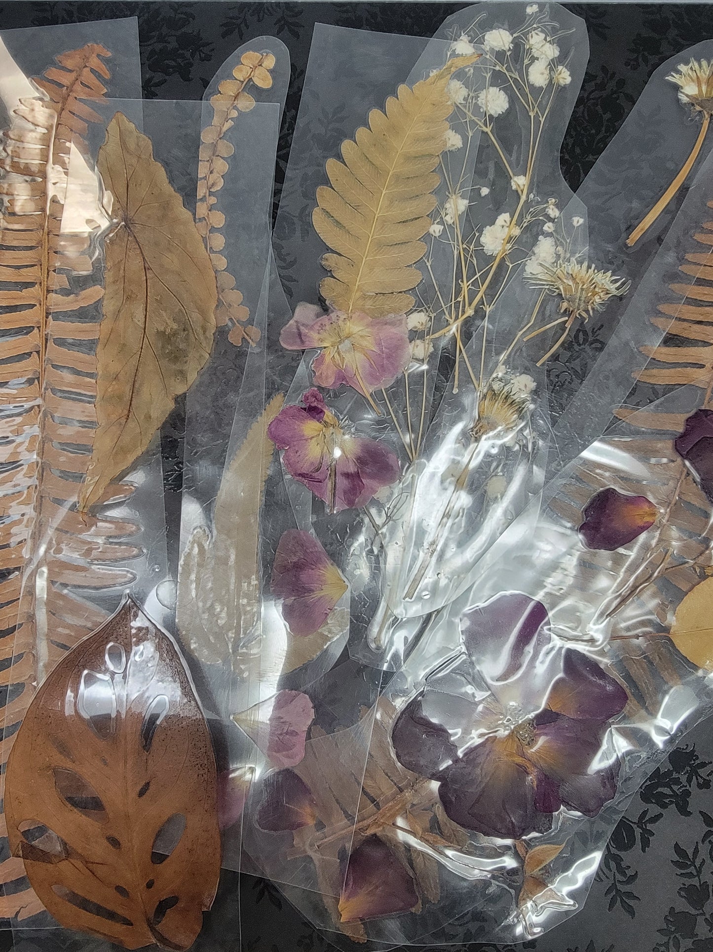 Assorted Bookmarks, pressed flowers & plants