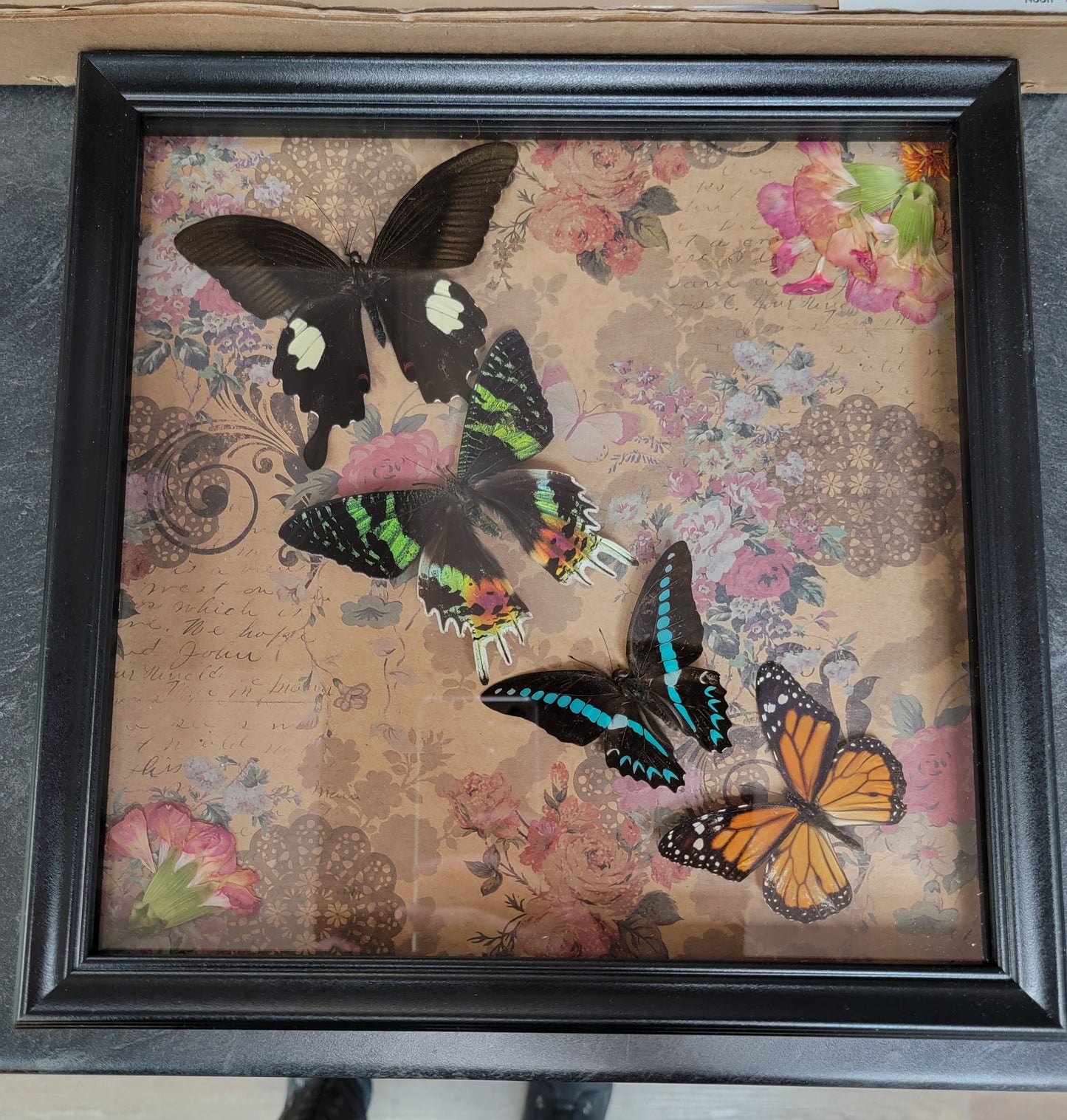 Shadowbox, Butterflies
