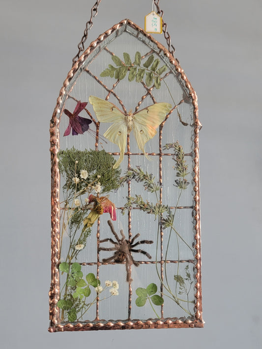 Shadowbox Luna & Tarantula