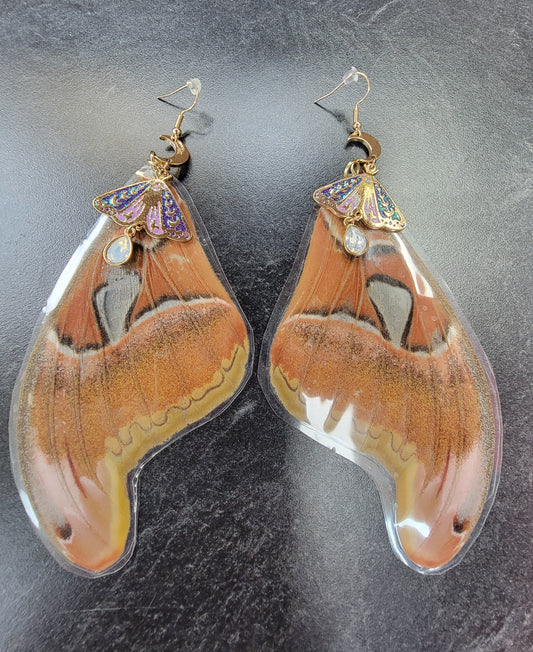 Earrings, Real Atlas Moth Wings