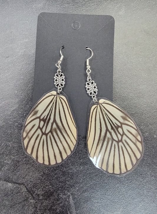 Earrings, Real Butterfly Wings