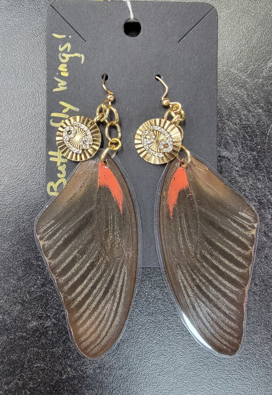 Earrings, Real Butterfly Wings