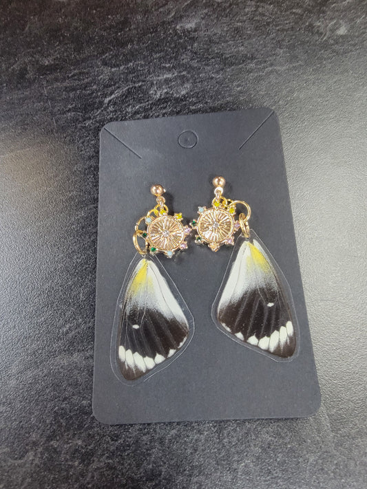 Earrings, Real Butterfly Wings