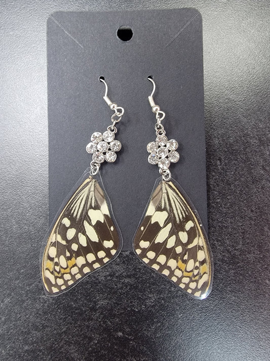 Earrings, Real Butterfly Wings