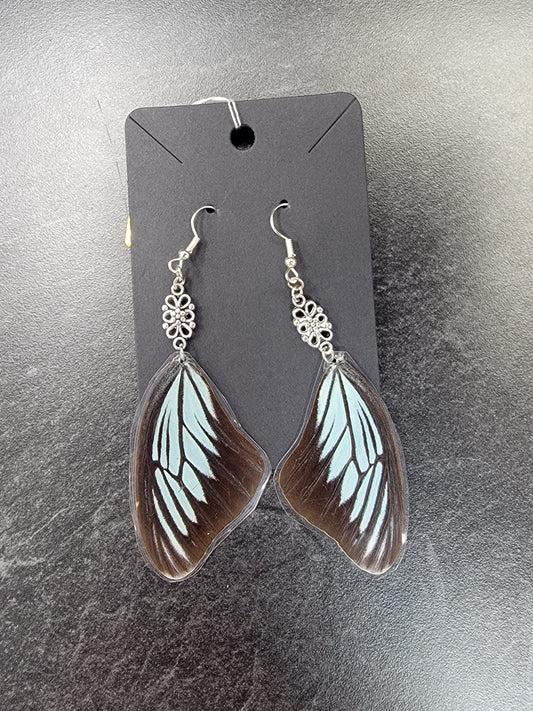 Earrings, Real Butterfly Wings