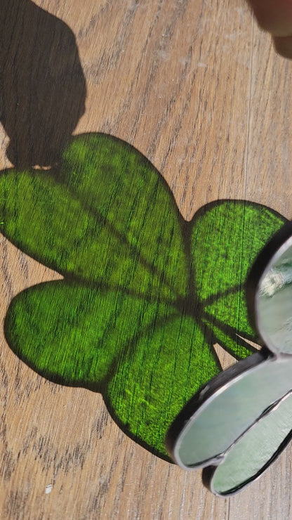 Clover 🍀