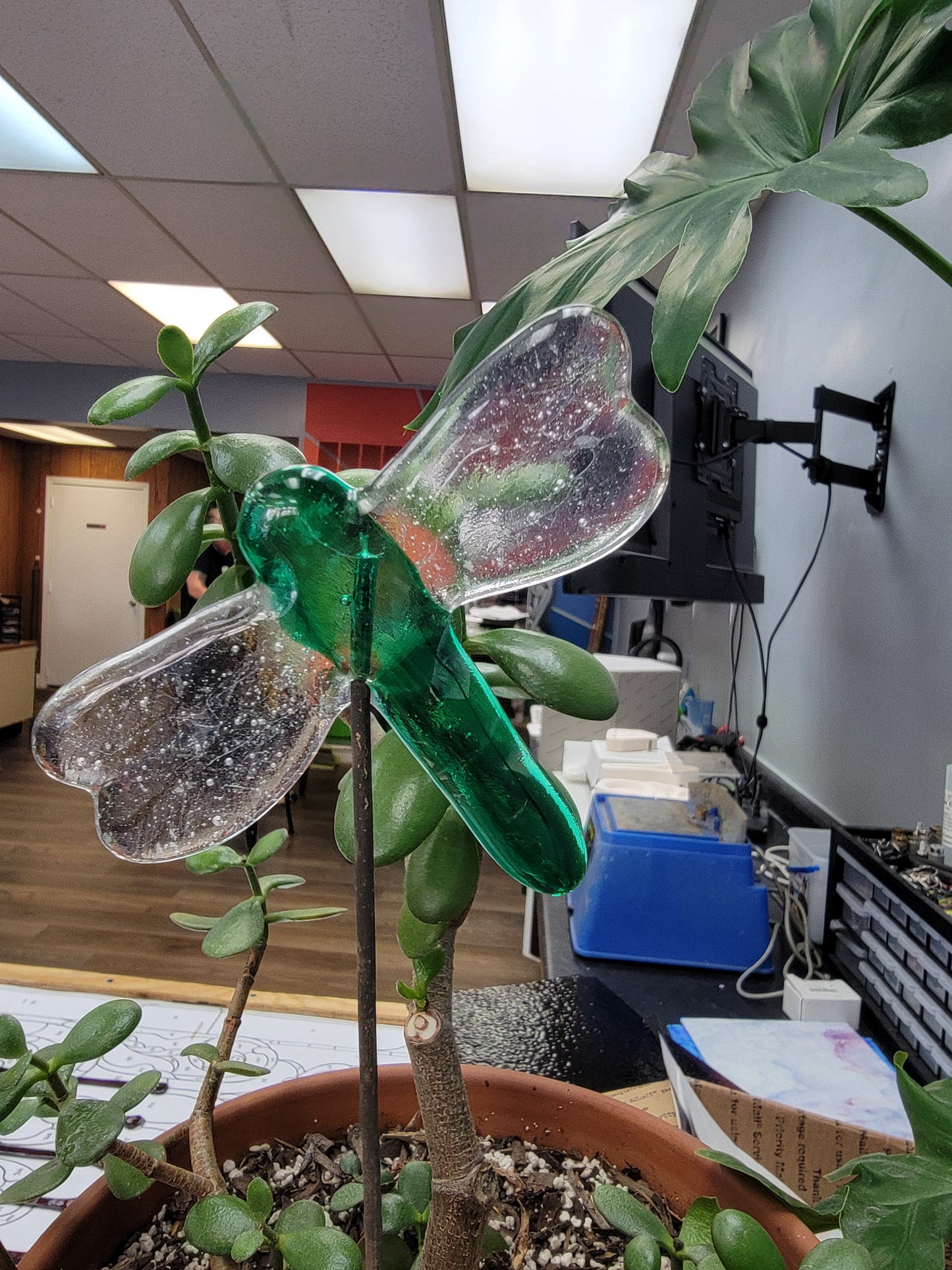 Dragonfly, Fused Glass plant stake