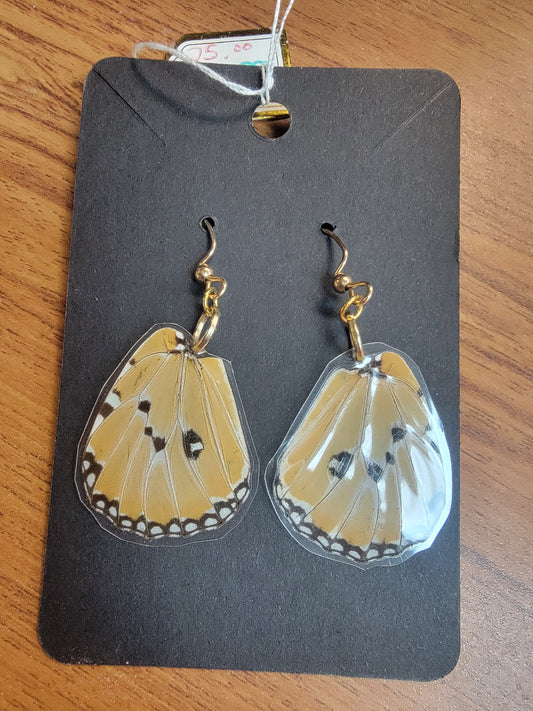 Earrings, Real Butterfly Wings