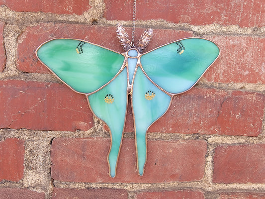 Luna Moth, Stained Glass